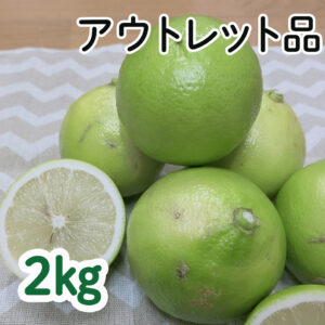 温室栽培ベルガモット　アウトレット品 2kg （2－3月出荷）